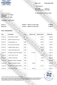 Case Study : Novelty Gift for a Financial Professional 2 Halifax Ireland bank statement template