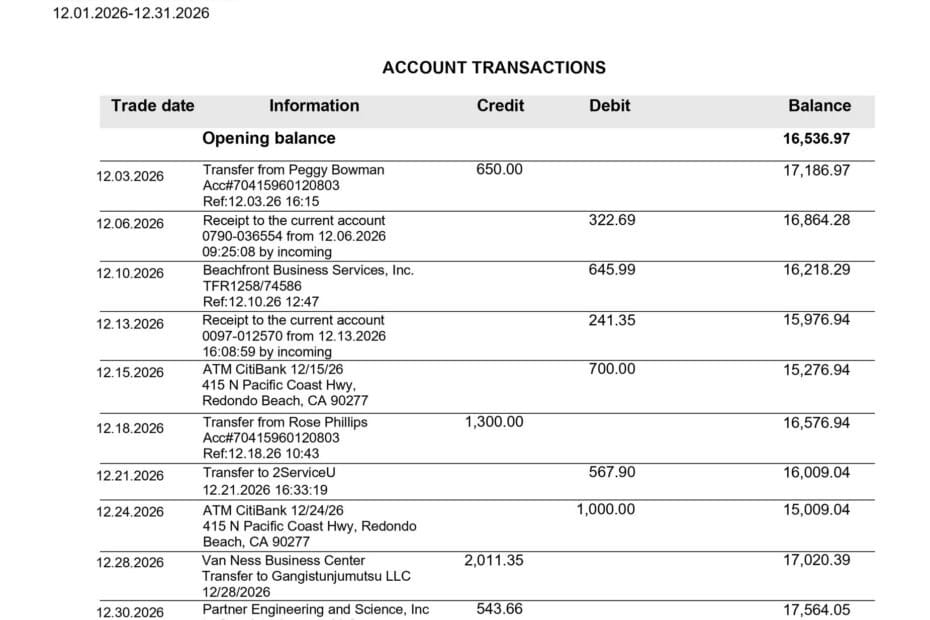 How to Create Bank Statements: My Professional Guide to Financial Documentation 21 Citibank Bank Statement 1 1